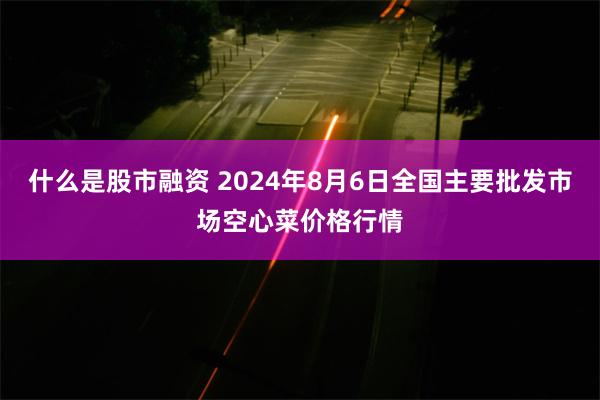 什么是股市融资 2024年8月6日全国主要批发市场空心菜价格行情