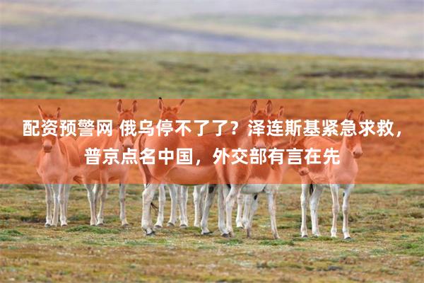 配资预警网 俄乌停不了了？泽连斯基紧急求救，普京点名中国，外交部有言在先