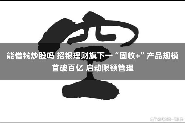 能借钱炒股吗 招银理财旗下一“固收+”产品规模首破百亿 启动限额管理