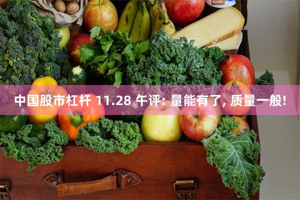 中国股市杠杆 11.28 午评: 量能有了, 质量一般!