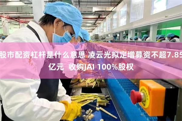 股市配资杠杆是什么意思 凌云光拟定增募资不超7.85亿元  收购JAI 100%股权