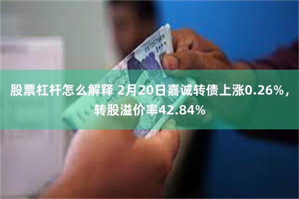 股票杠杆怎么解释 2月20日嘉诚转债上涨0.26%，转股溢价率42.84%