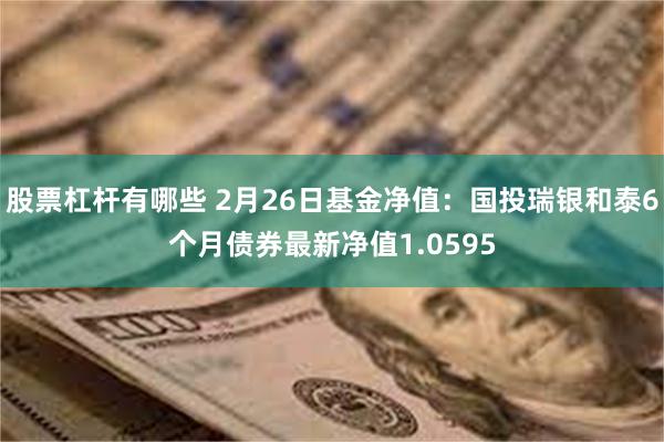 股票杠杆有哪些 2月26日基金净值：国投瑞银和泰6个月债券最新净值1.0595